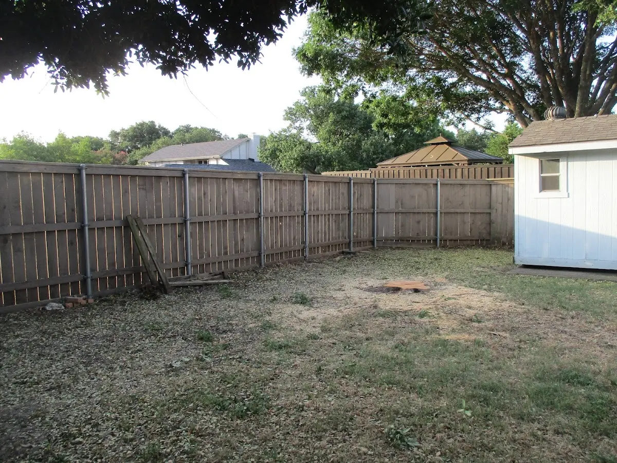 Cleared yard after professional tree removal in Mcnary